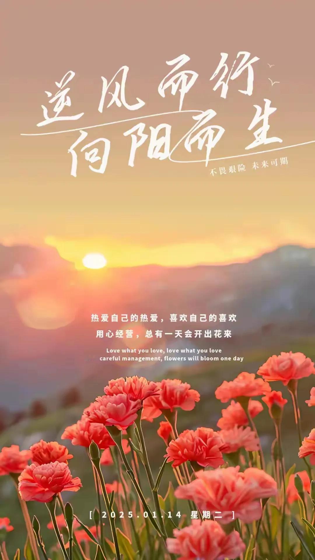值此盛世，宜做人间清醒。。。
茅屋竹舍日高睡,此意谁人会?

虽堕红尘，云雾时常