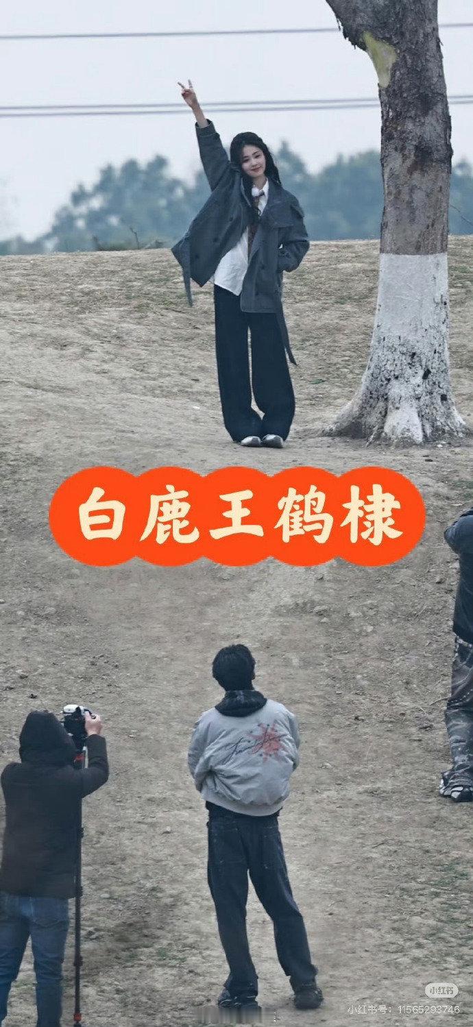 王鹤棣帮白鹿拍照白鹿王鹤棣拍照路透 王鹤棣帮白鹿拍照啦~照片呢给我放出来啊！好想