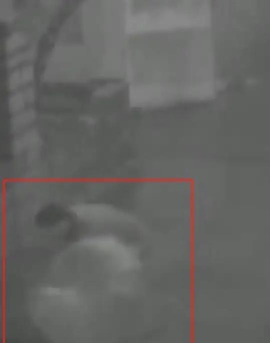 2013年冬天，1米5高的湖南富婆，被朋友硬生生塞入3米高的下水道。她把衣服逐一