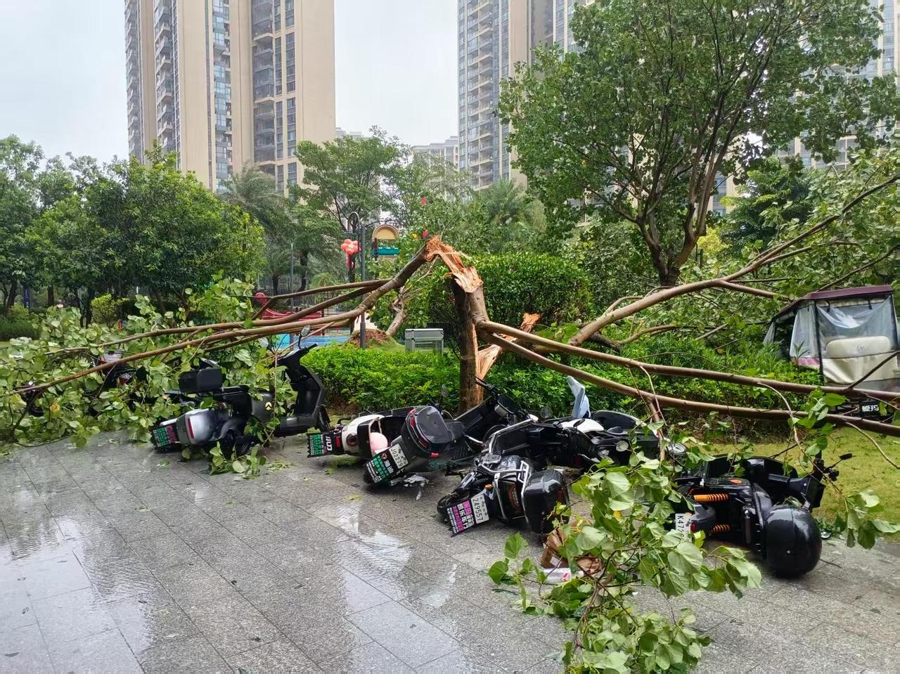 两广地区近期天气着实不易！

前不久，广西受台风影响出现大范围强降雨引发积水内涝