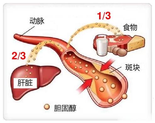 限量吃猪油可降血压且有益于肝功能主要指标！猪油在我国作为一种广受欢迎的食用油已有