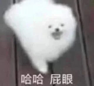 家人们！好可爱啊！谁懂！谁懂！ ​​​