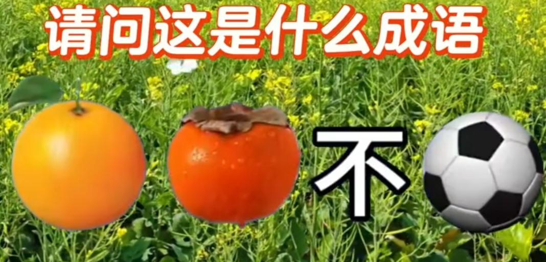 趣味看图猜成语：橙柿不球，谐音梗藏经典四字词