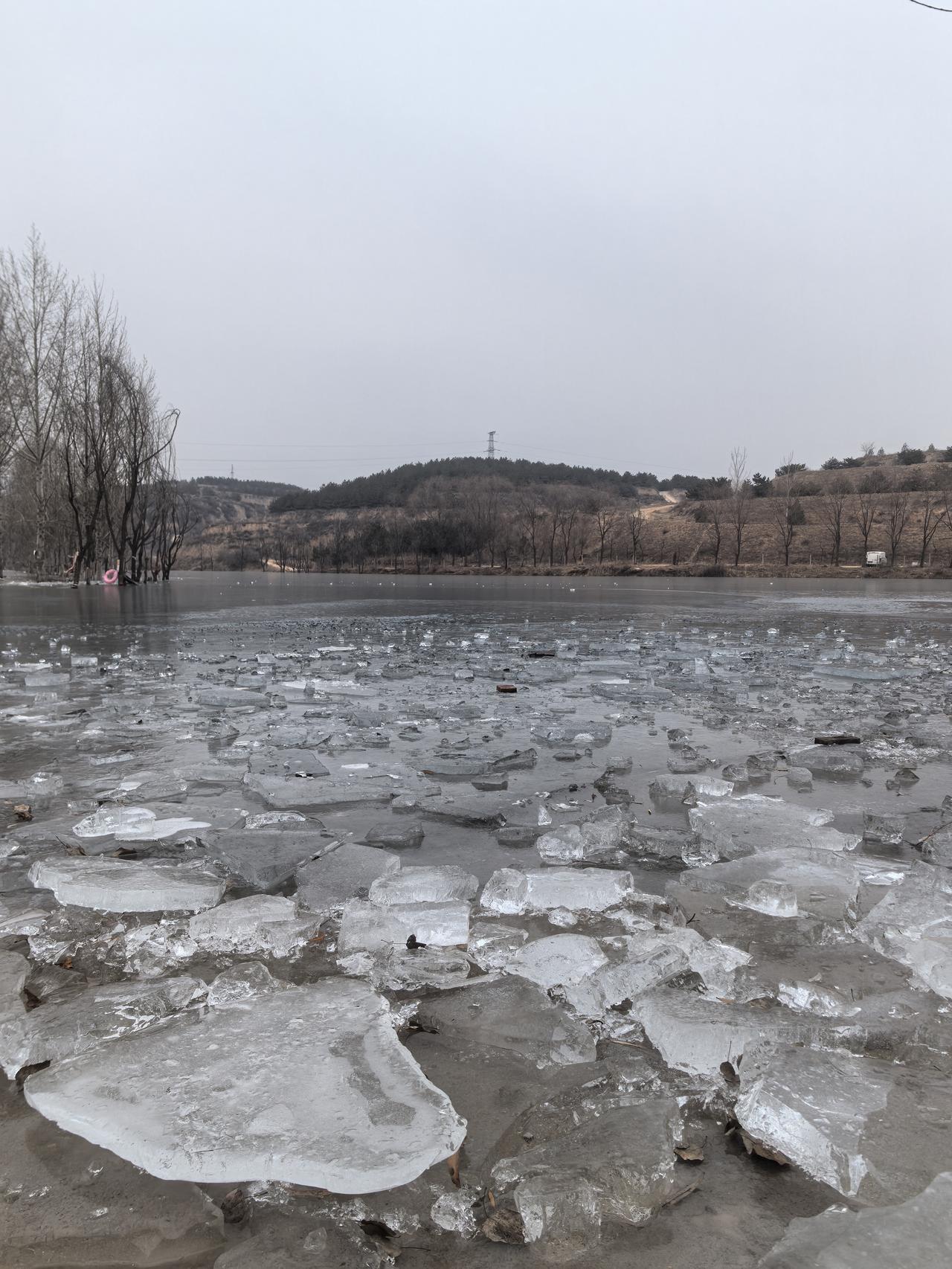 分享手机随拍的照片