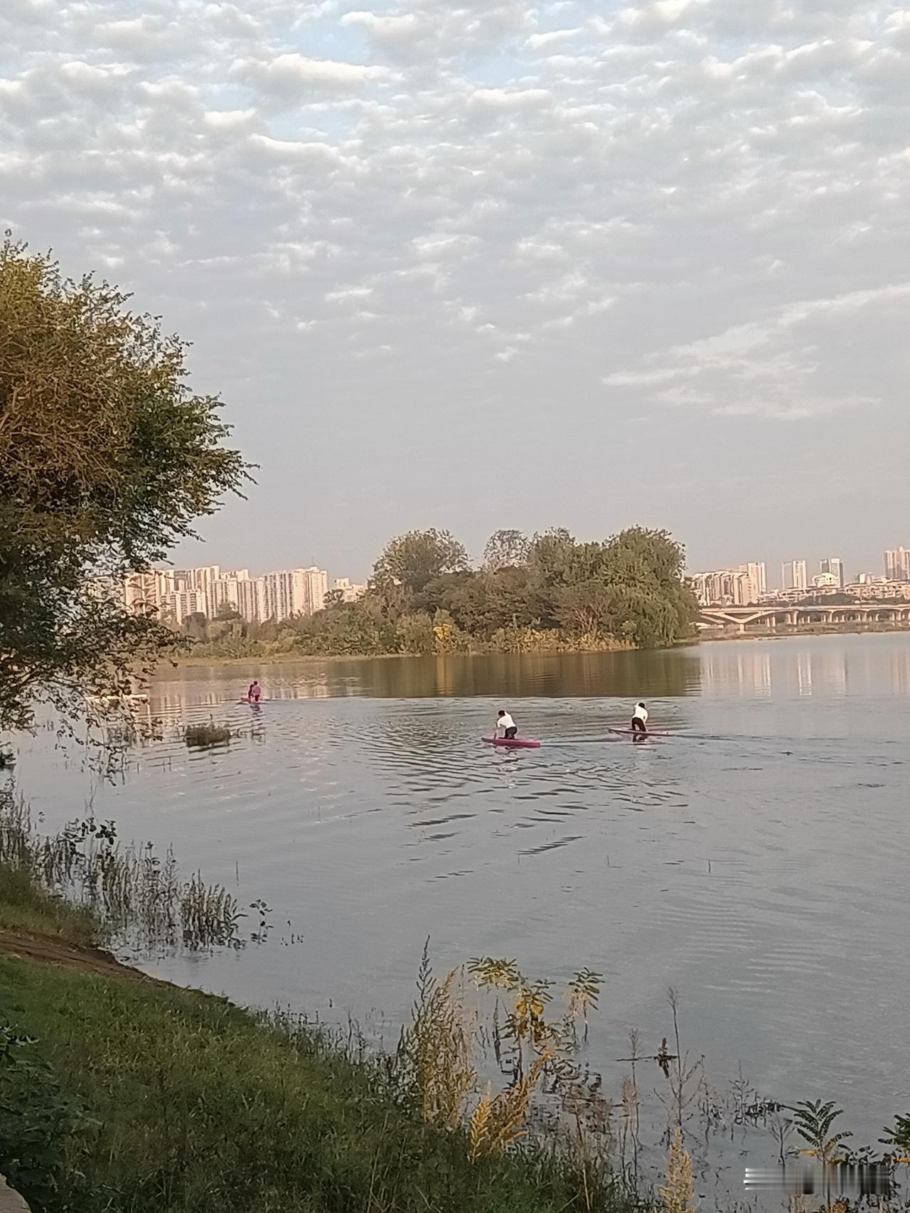 白河之湄  览物之情
（二十六）、劈波斩浪竟风流

白河水满时，就成了水上运动场