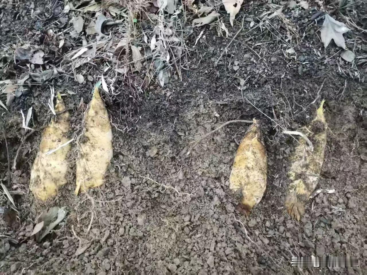 人到中年，最好的活法是：不生气，不较真，不内耗。

最近总有人问：人到了中年以后