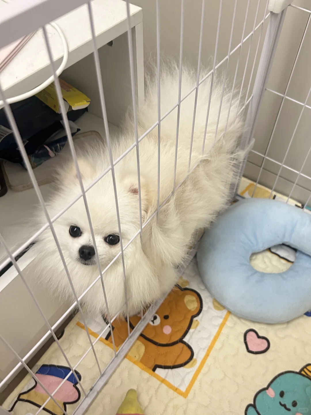 麻麻，夹、夹、、夹我脑袋了