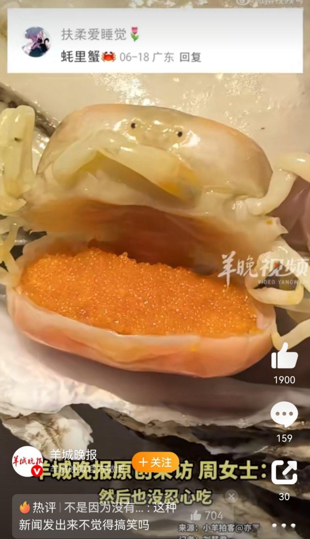 女生撬开生蚝发现小螃蟹 豆蟹：人!你蒸了还不吃!厚礼蟹![哆啦A梦害怕][哆啦A