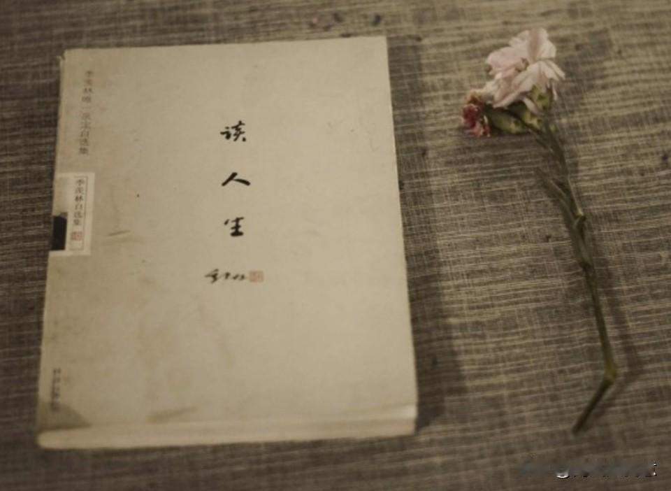 人生前路，命数难窥
世事如行雾中，步步皆入未知
纵有晴光偶散烟岚，得见一隅远景