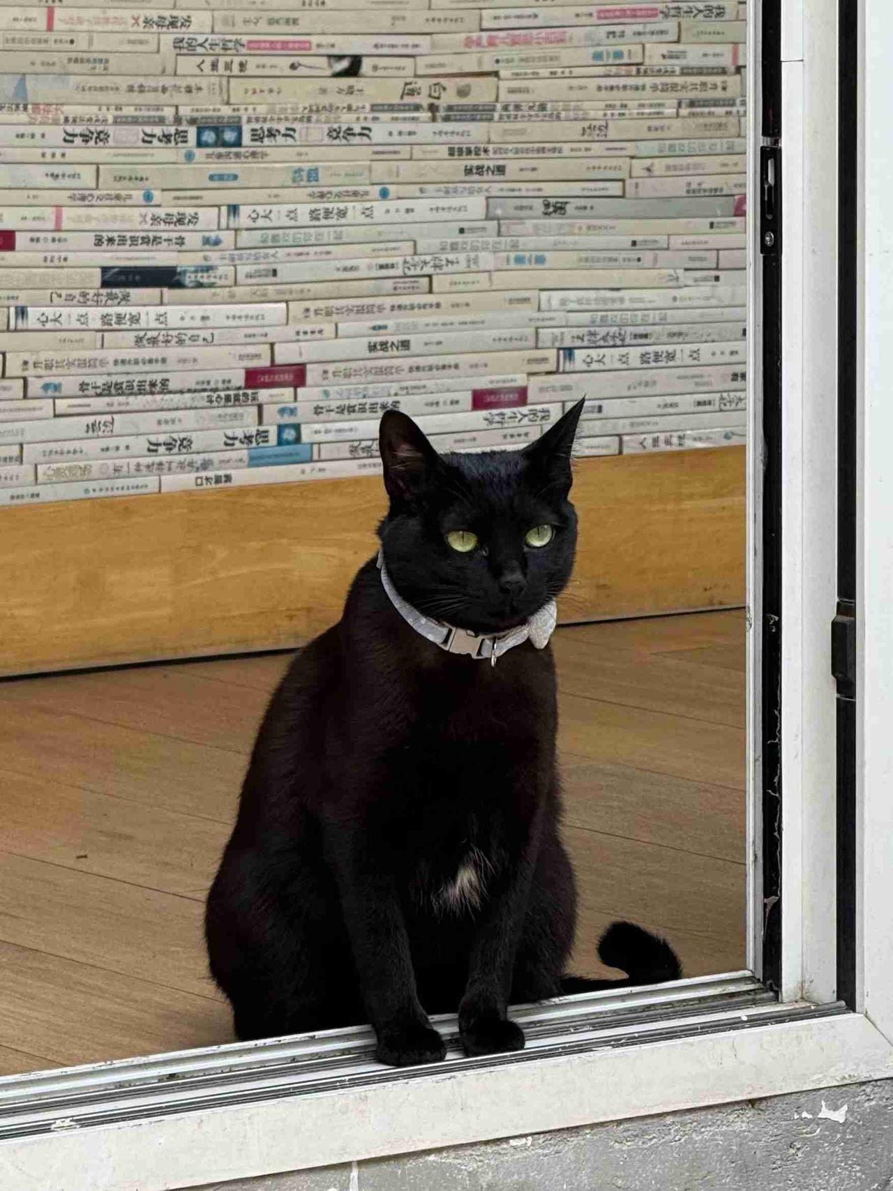 我的今日状态：😁轻松愉快
我这里的天气：☀️晴天