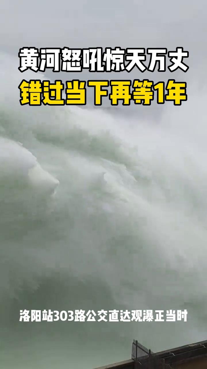 黄河怒吼惊天万丈，错过当下再等1年。洛阳站303路公交直达观瀑正当时。