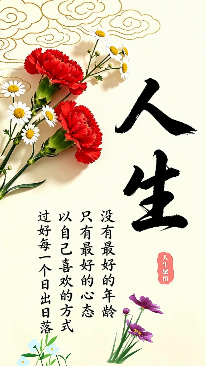 人生感悟。
没有最好的年龄，过好每一个日出日落。只有最好的心态，以自己喜欢的方式