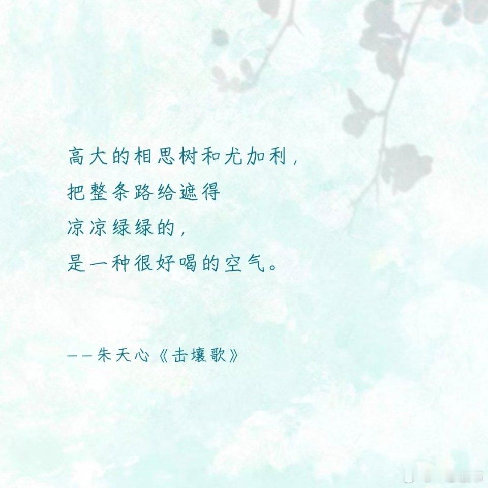 薄荷曼波系文学 读完整个人都变温柔了🍃阳光带着薄荷凉意，穿过新叶，落在肩头，春