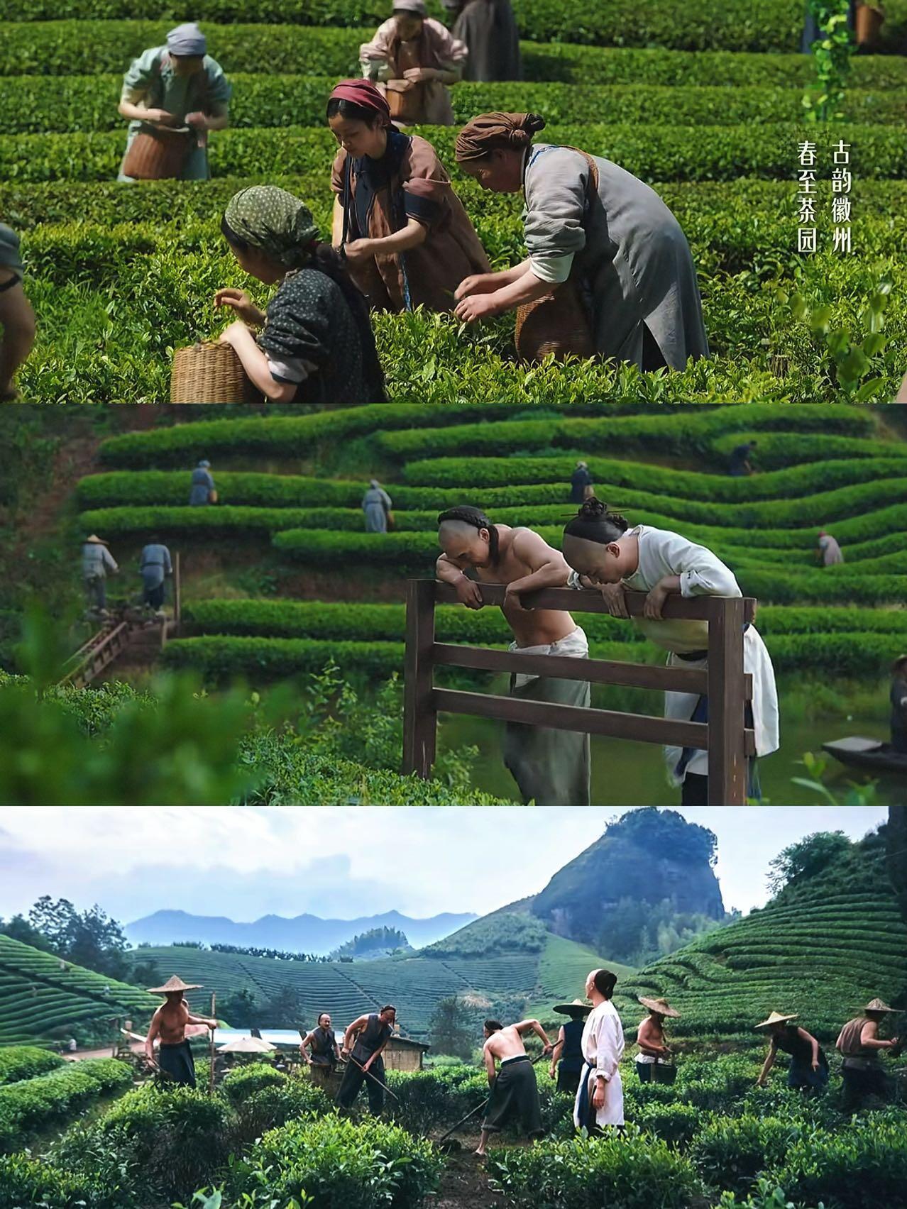 国产剧里难得一见的实景，拍一部剧跑遍全国真的有被大生意人其中的季节变换精美画面所