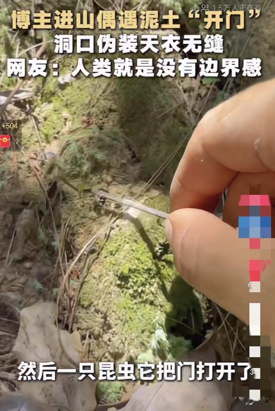 近日，重庆一女子进山，她看到一只昆虫将门打开正在张望，看见女子后门马上就关上进去