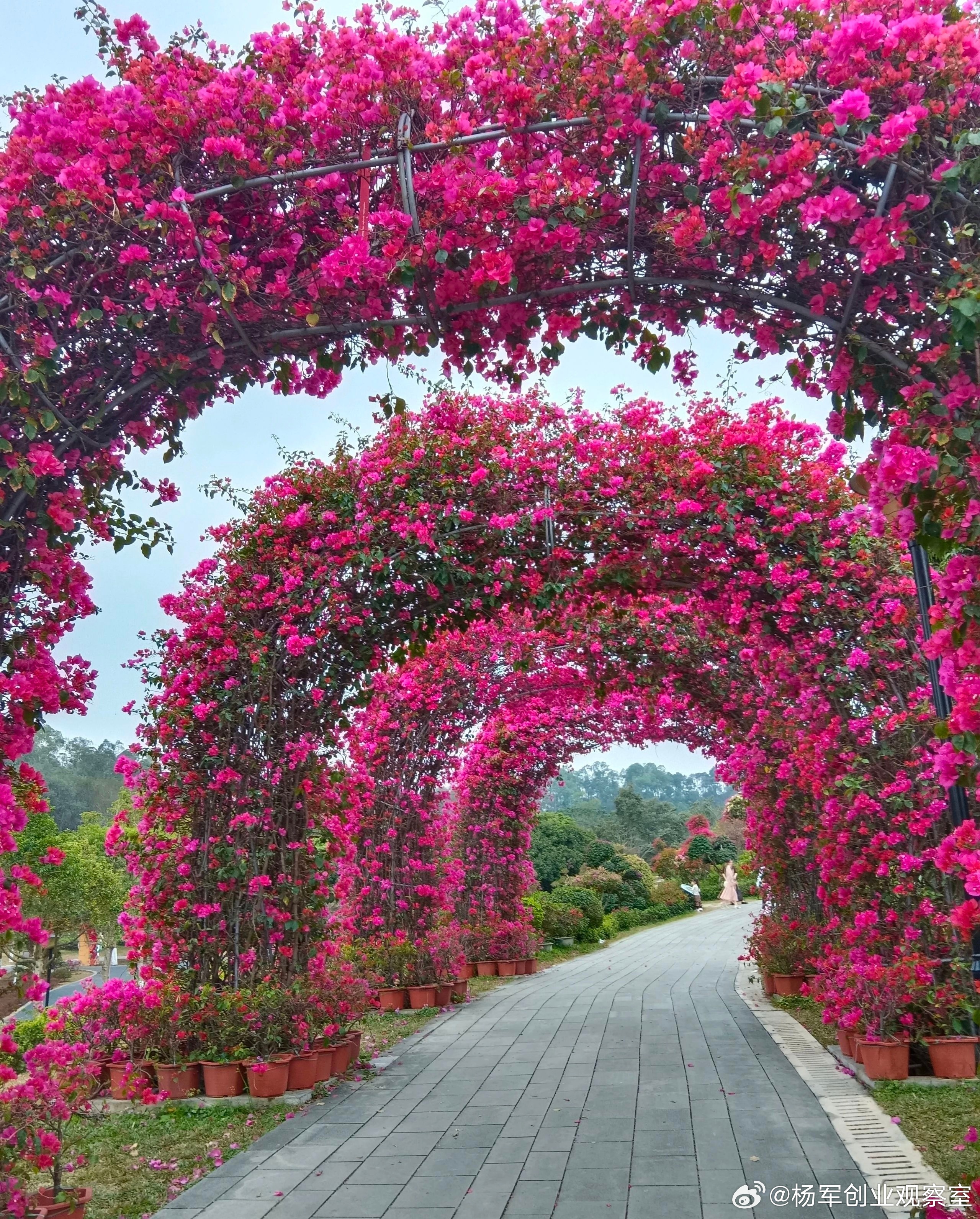 股权激励四大时期，掌控节奏才能锁定人才！没有时间捆绑的股权，就像没有闸口的水库，