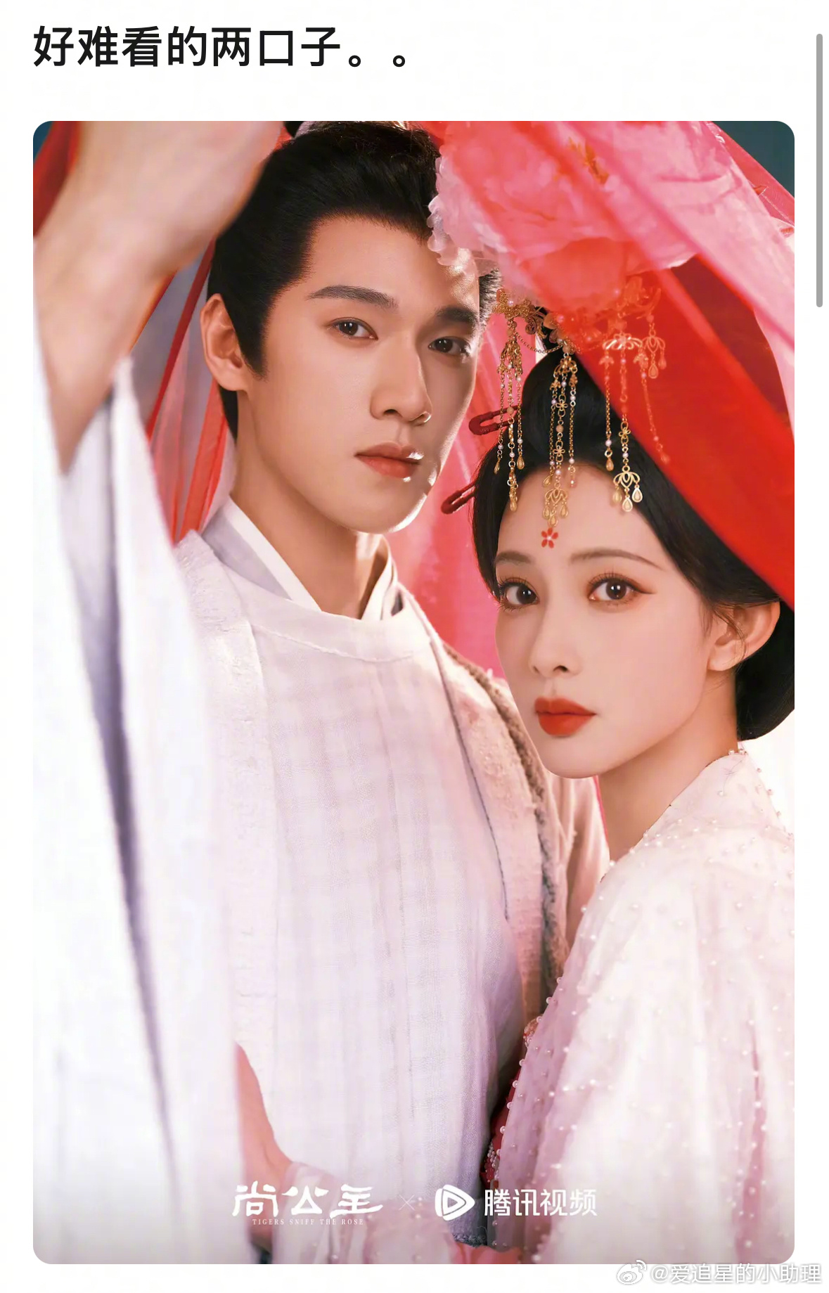 尚公主物料审美 孟子义李昀锐《尚公主》造型被吐槽丑，孟子义也撞脸杨紫？看着像吗？