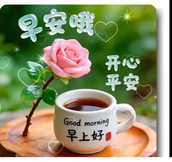 一杯青茶一枝花，
叙叙旧情聊聊天，
平时各自工作忙，
正赶十一放假日，
茶馆一坐