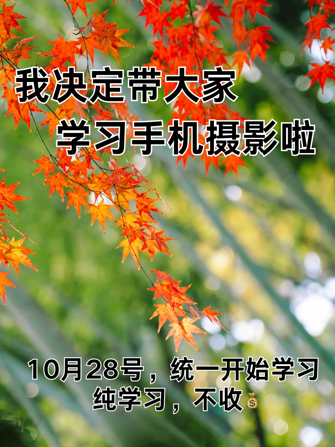 我决定带大家学习手机摄影啦！！