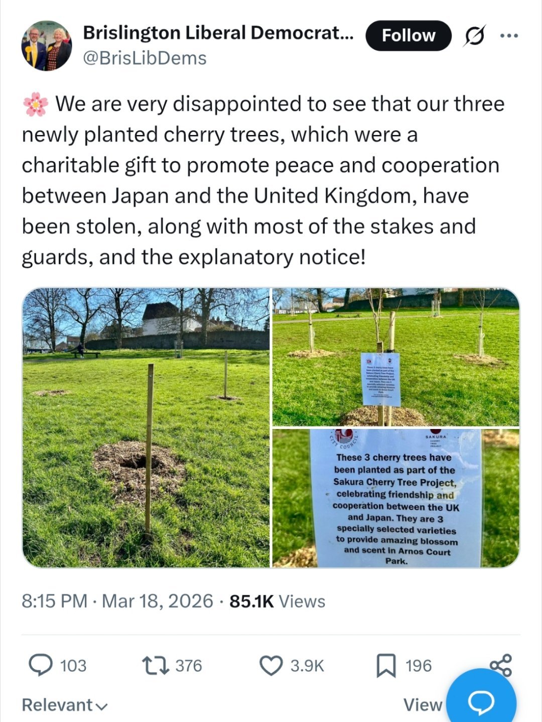 今日一乐！¹ 日本对英国做“樱花外交”，捐赠3棵樱花树苗，象征“和平与合作”。但