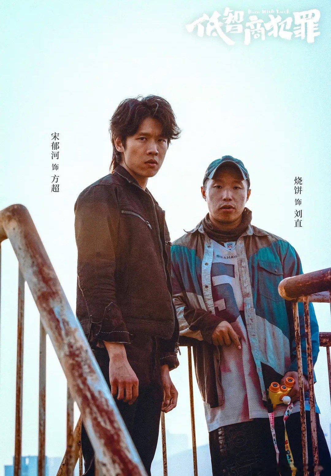 《低智商犯罪》王骁、田曦薇、王传君主演，已完结，上线36天，累计有效播放量12亿