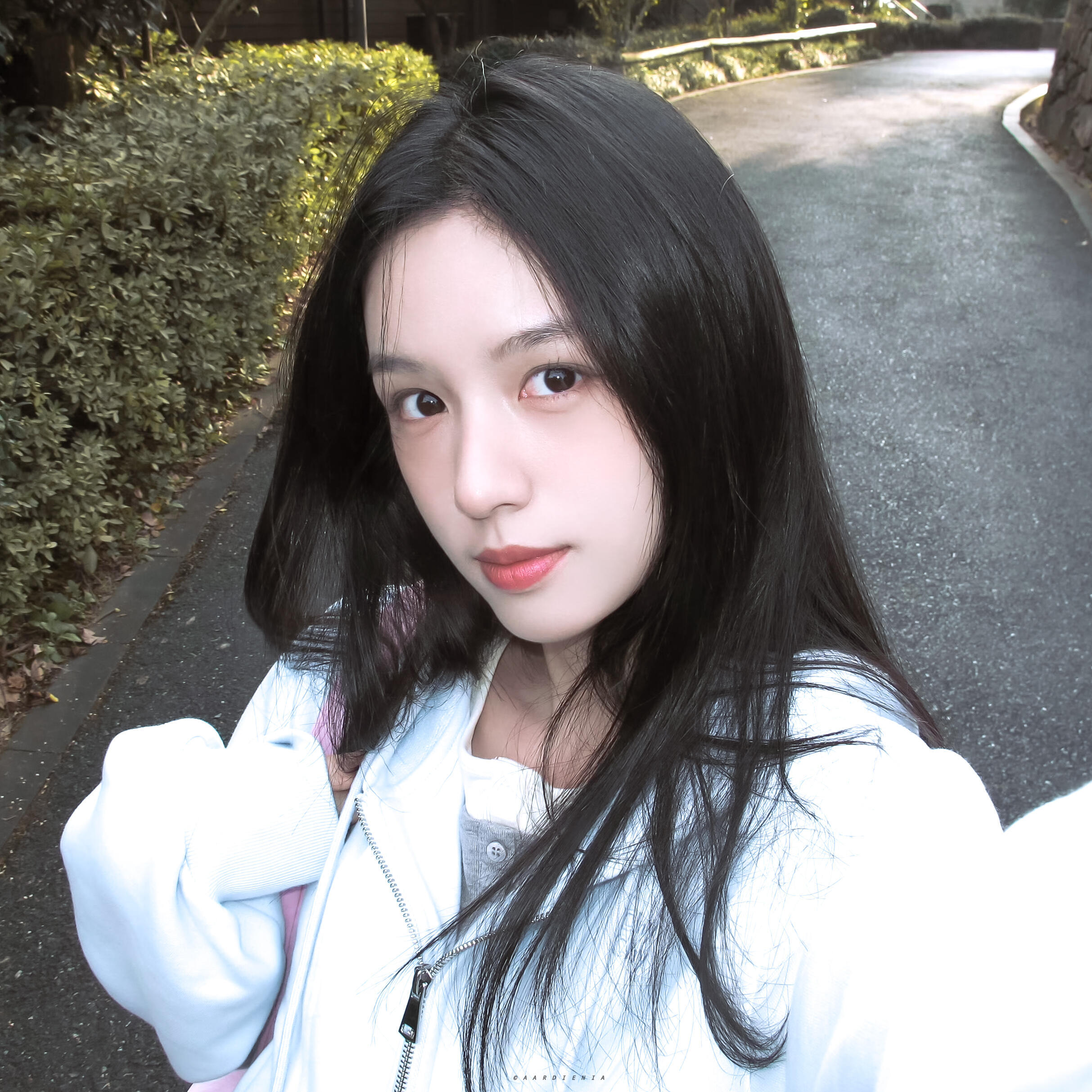 -𝐒𝐇𝐀𝐑𝐄｜周也头像背景图搭配 ⸝⸝🍏꙳🍸◟🍀。 