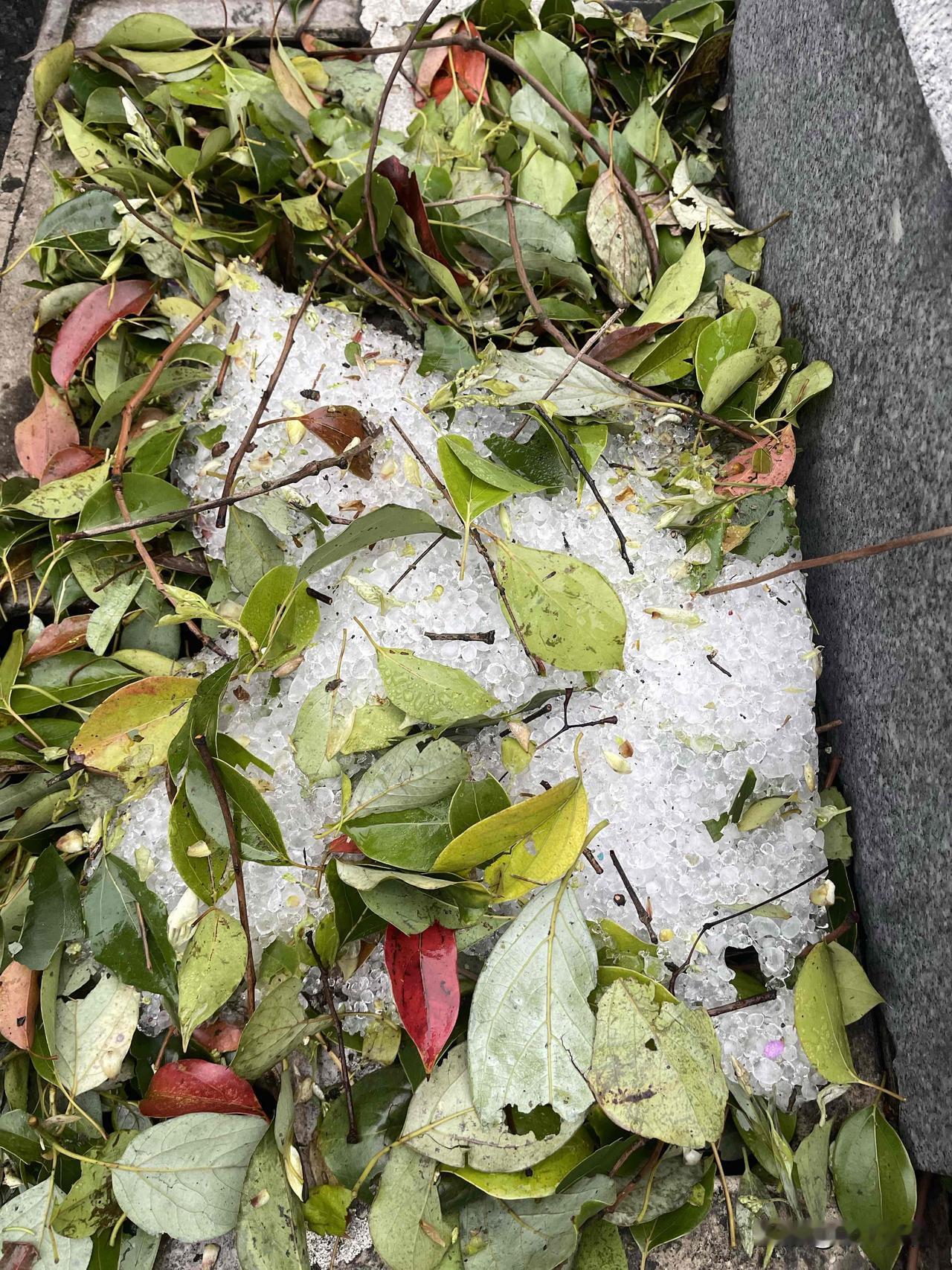 春日生活打卡季春天的一场风暴，都是财富