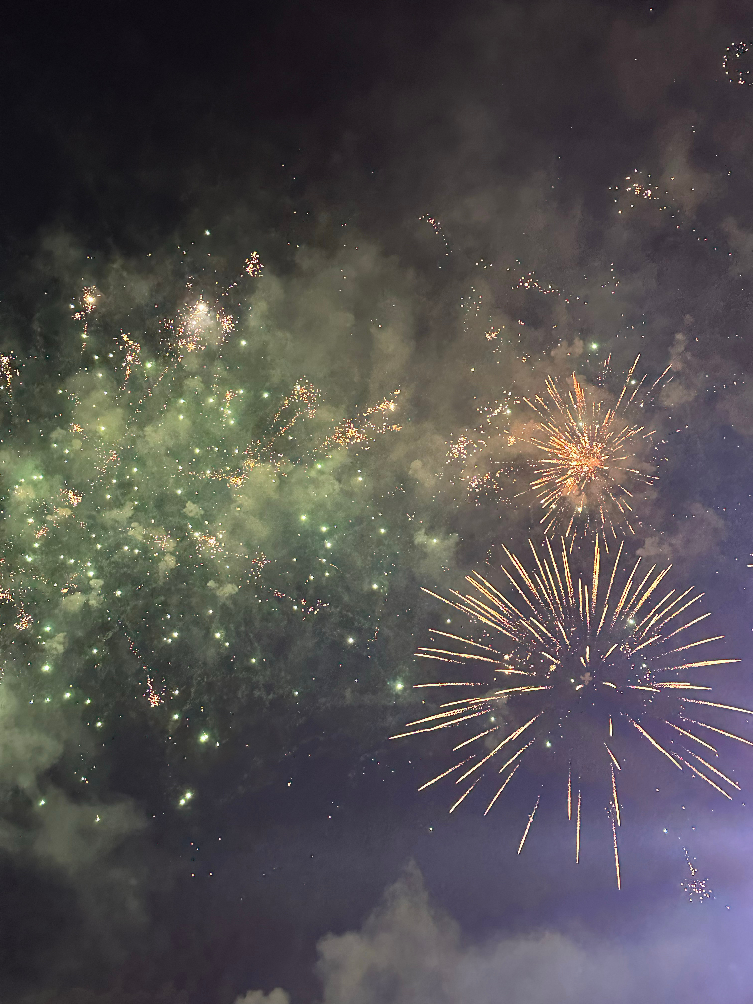 海南蹦迪大会也吃太好了吧！！！好美的烟花，在海南和万人一起看烟花跨年浪漫成啥了?