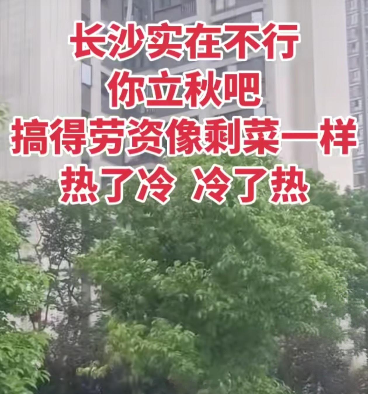 长沙的天气，就像这位网友说的。 