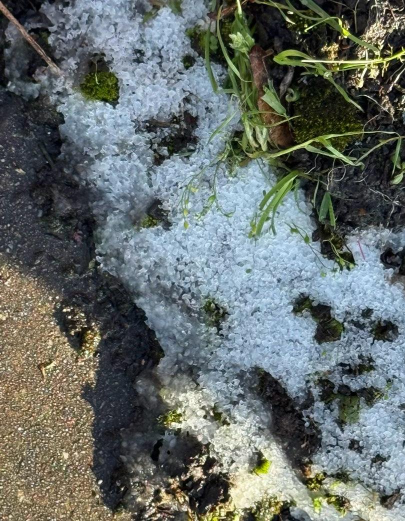 昨晚刮风，上午下大雨，下午下冰雹，现在夕阳西照。
特别的天气给特别的你。 ​​​