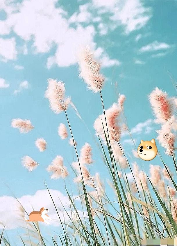 举报电诈大佬的自媒体人徽剑遇害消息出来，最让人破防的是，他的父母都已经不在了，他