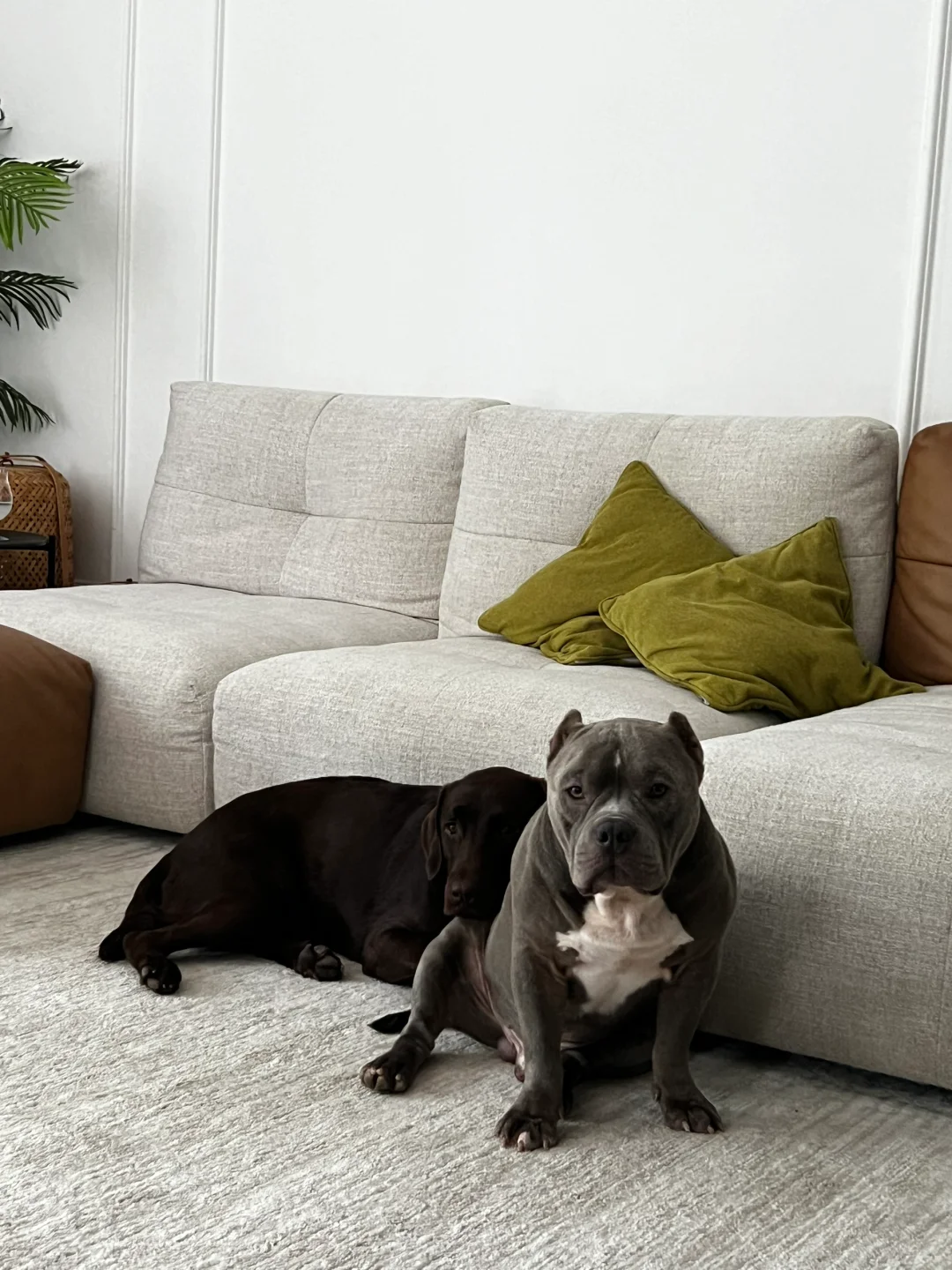 我们是天下无敌好朋友