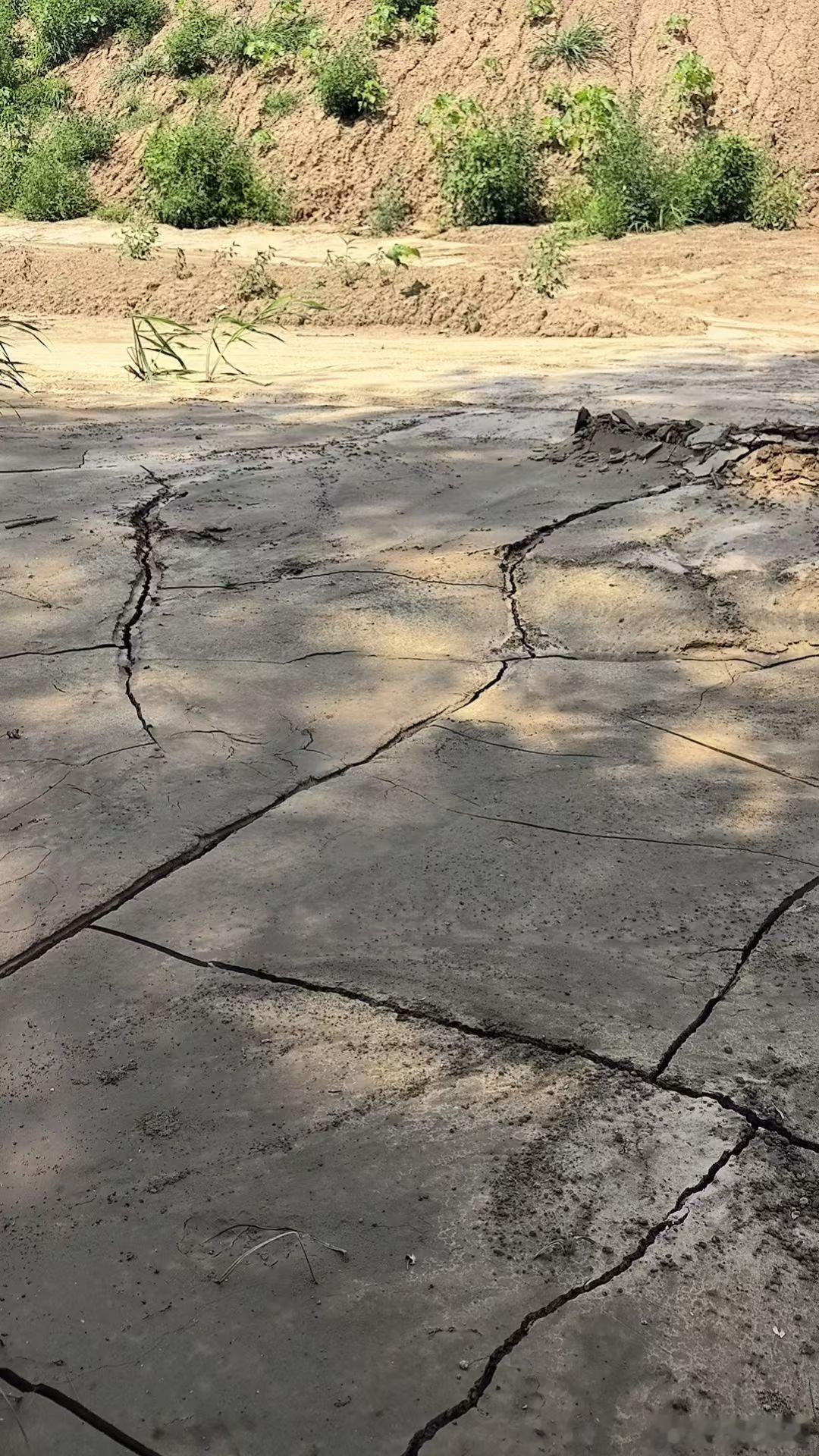 高温预警37度 