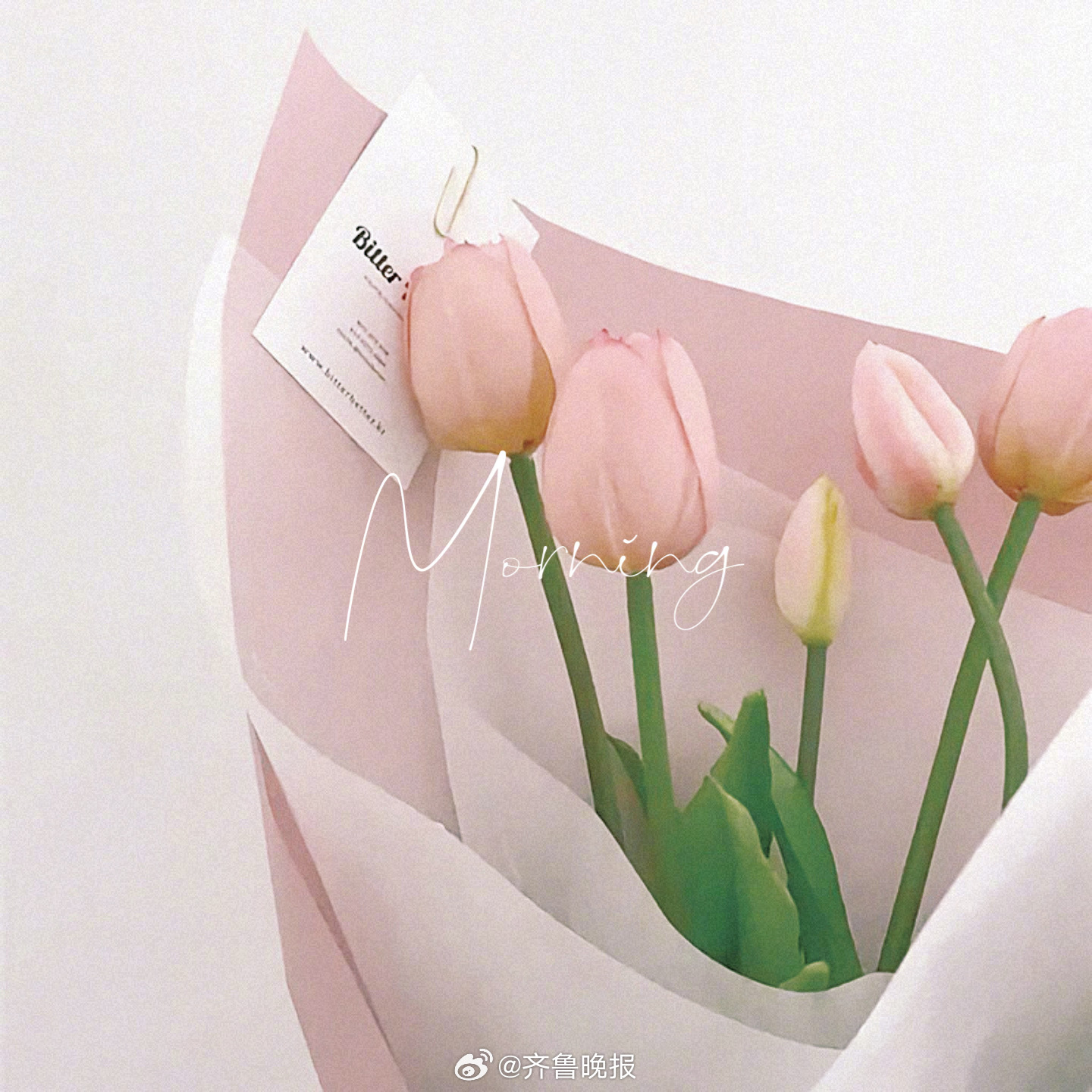 在裂缝里养一朵小花 #早安#