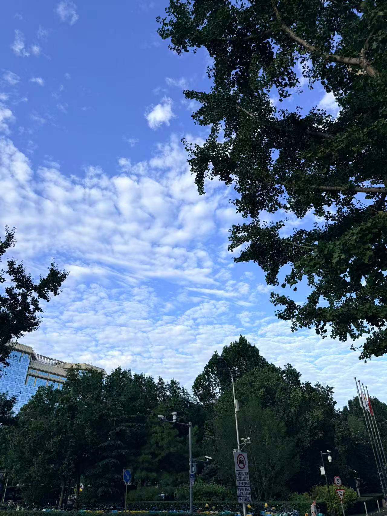 早安[超话] 🍃 𝑀𝑜𝓇𝓃𝒾𝓃𝑔 𝒮𝓊𝓃在这个清新的早晨，