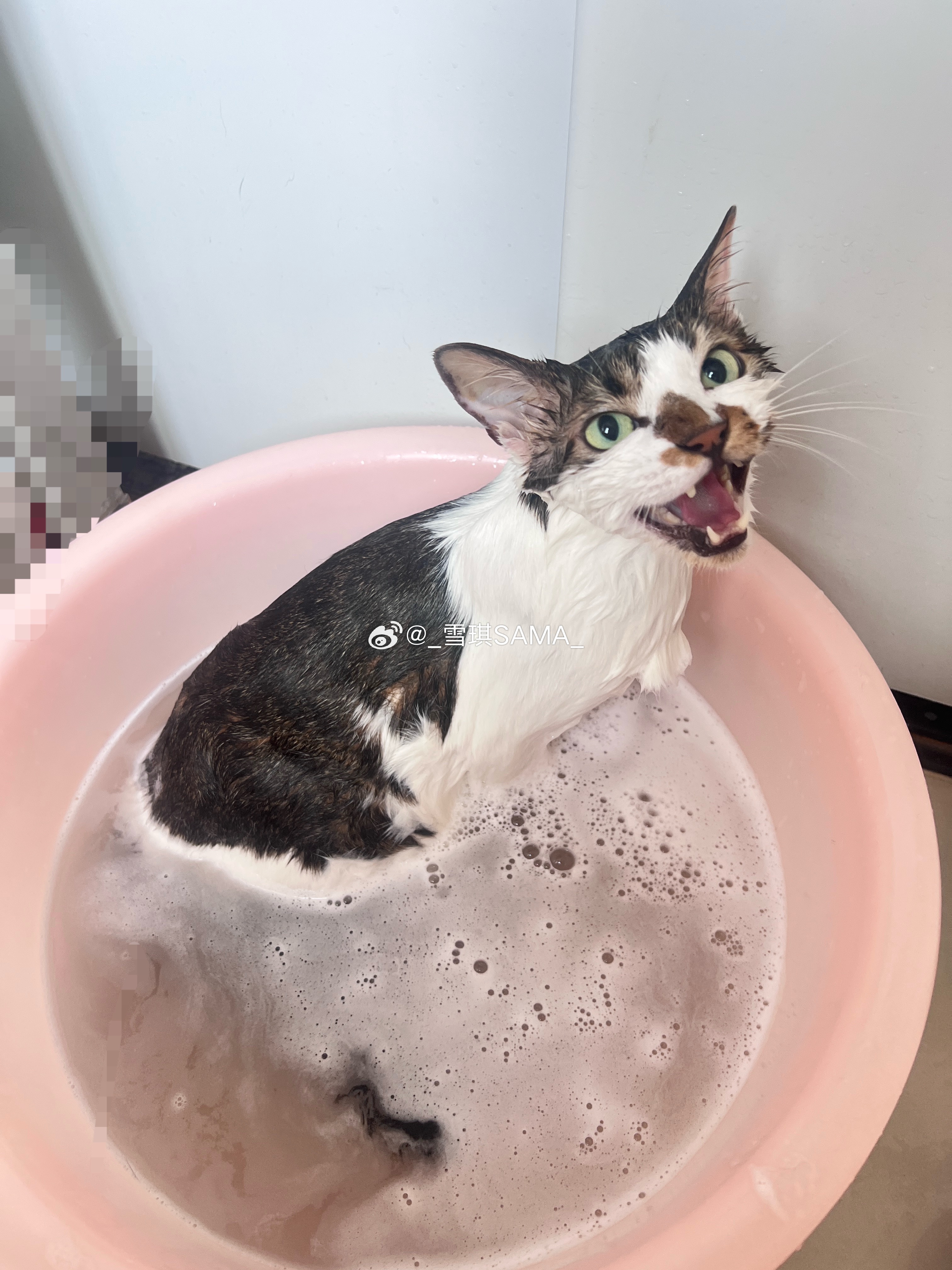 洗澡🛀🏻 