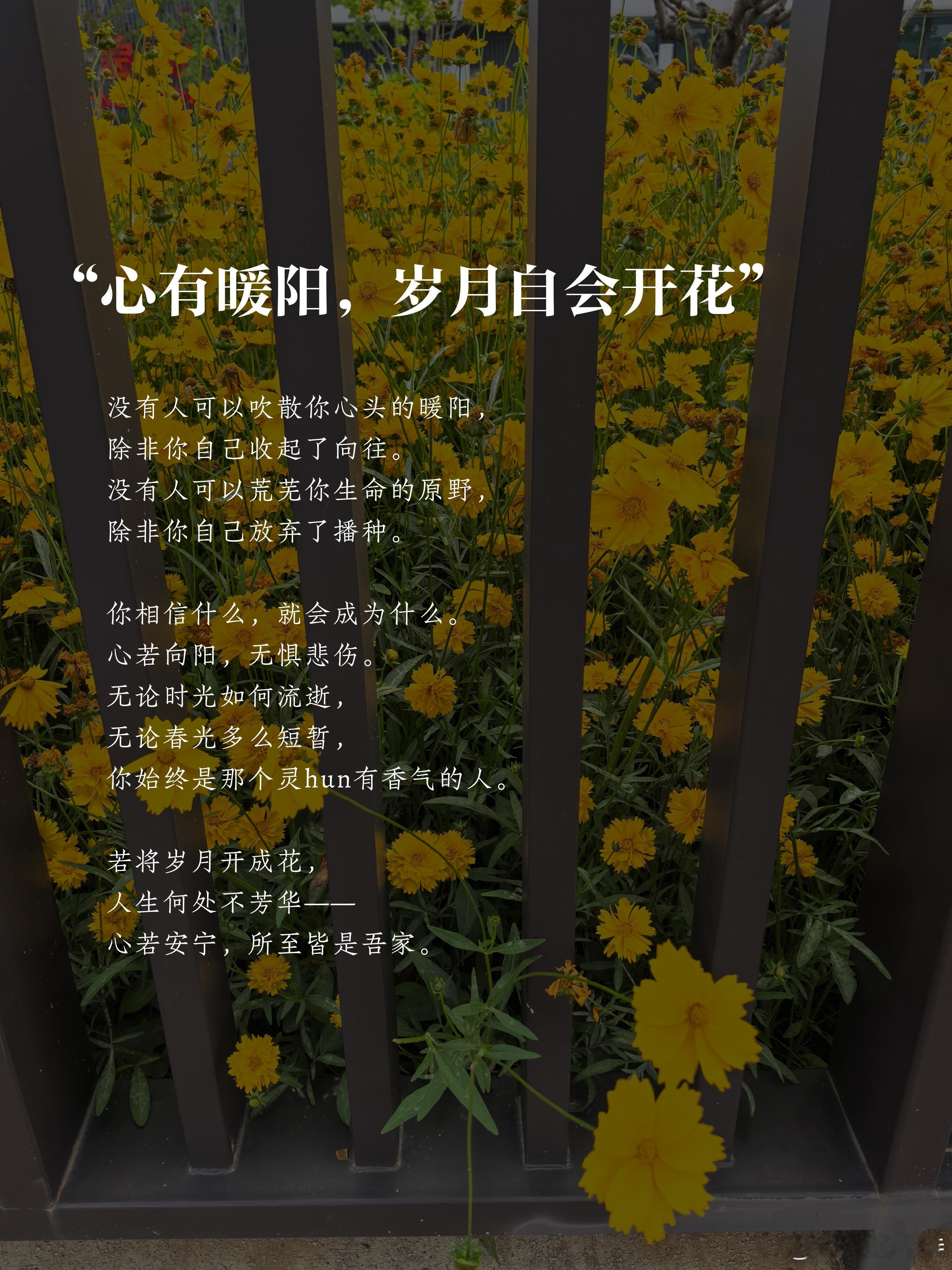 若将岁月开成花，人生何处不芳华——心有繁花，四季如春。01 把寻常日子，过成诗生