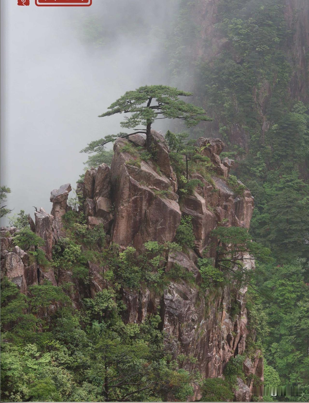 仲夏的山