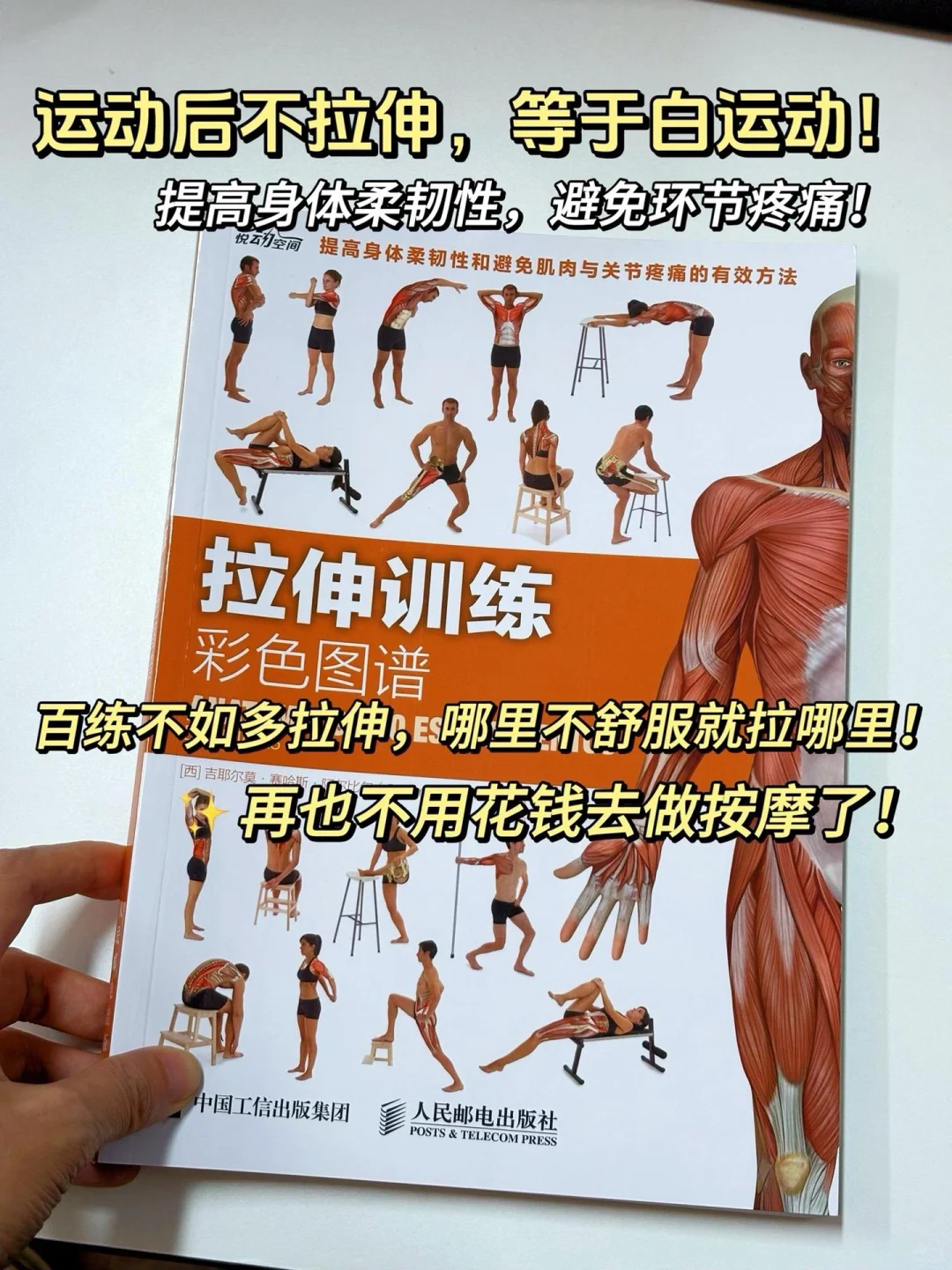 《拉伸训练彩色图谱》