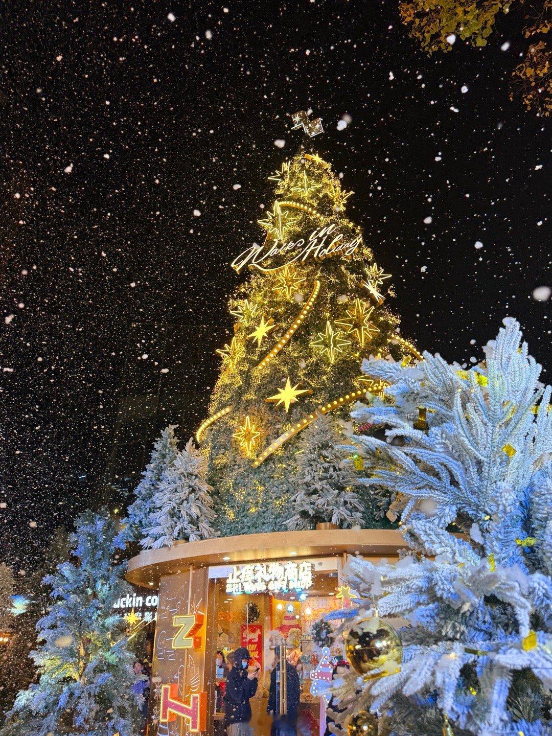 双旦过节氛围感还得是上海梧桐树下飘着圣诞歌，外滩的风裹着跨年的期待，魔都的双旦，