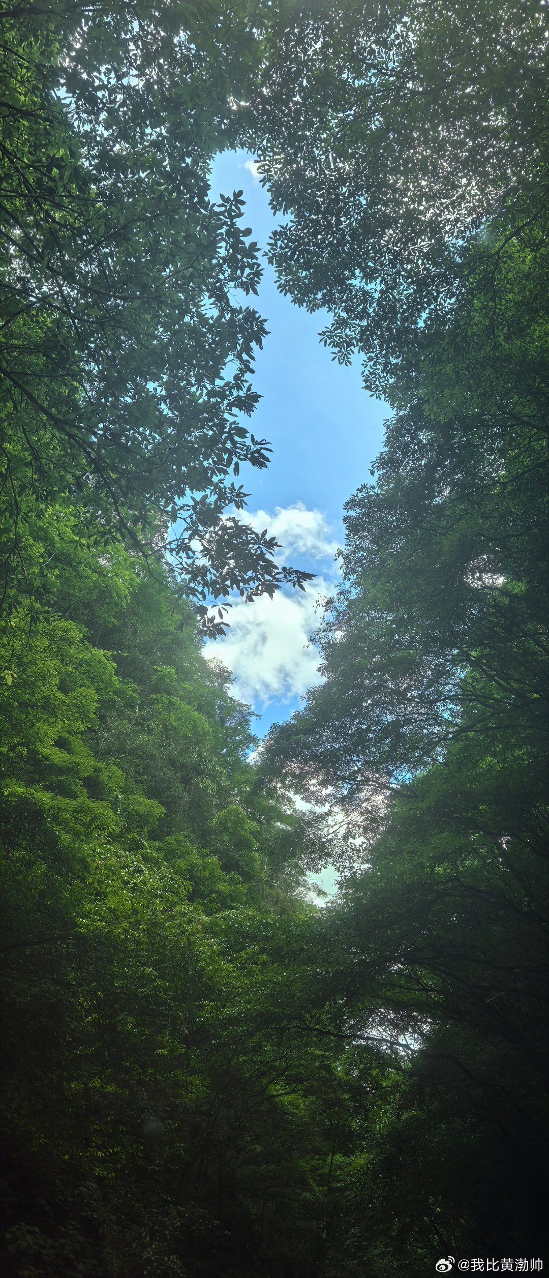 给自己放个假暑假旅游