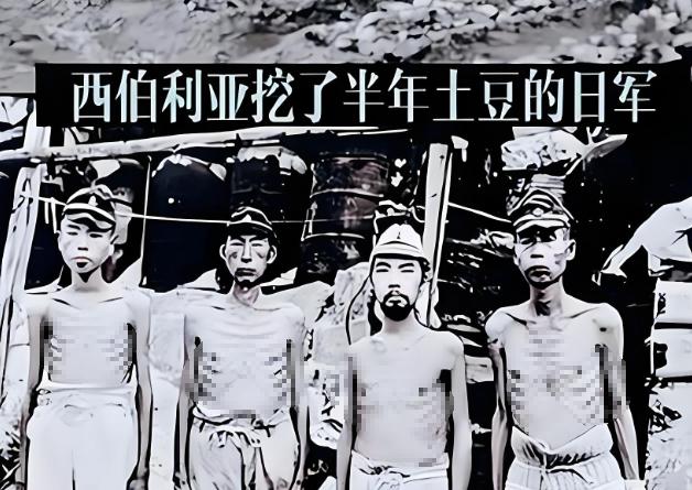 1945年，日军被苏联红军被押往了寒冷的西伯利亚。后来，活下来的日军战俘哭着回忆