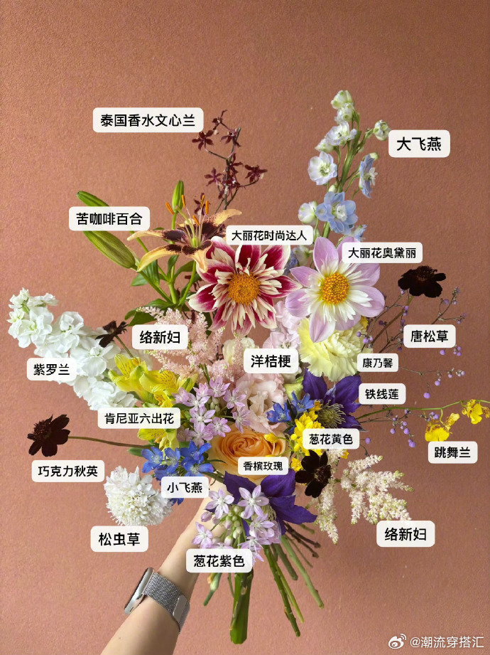 你可能见过但是不认识的花 💐​ ​​​