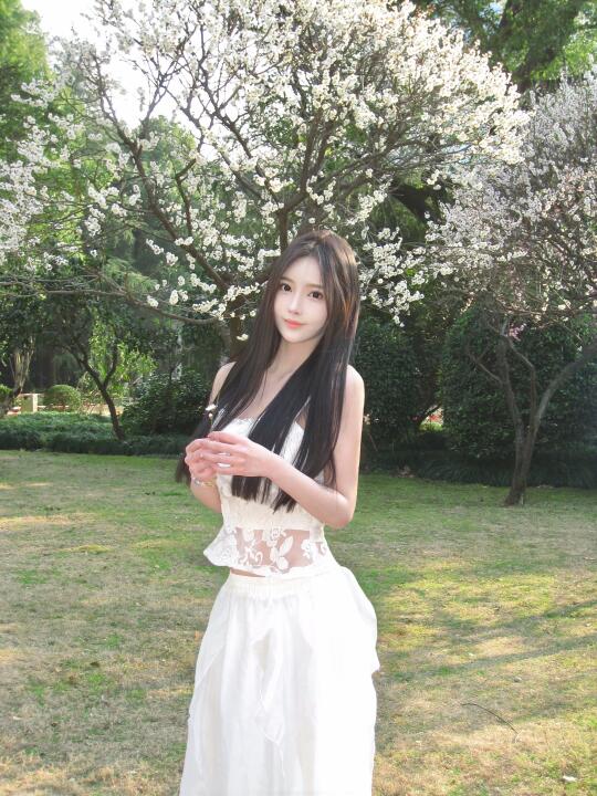 花开的季节