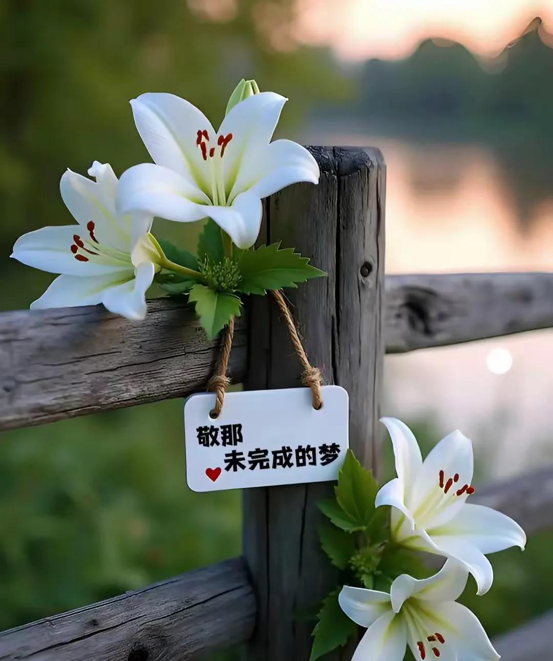 丢了
也许再也找不回来

成年人的分寸感
点到为止

人生就是一个减法数
经不起
