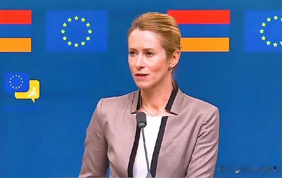 1月26日晚上的最新消息，速报，全都不容错过，第二条：欧盟外交负责人私下称冯德莱