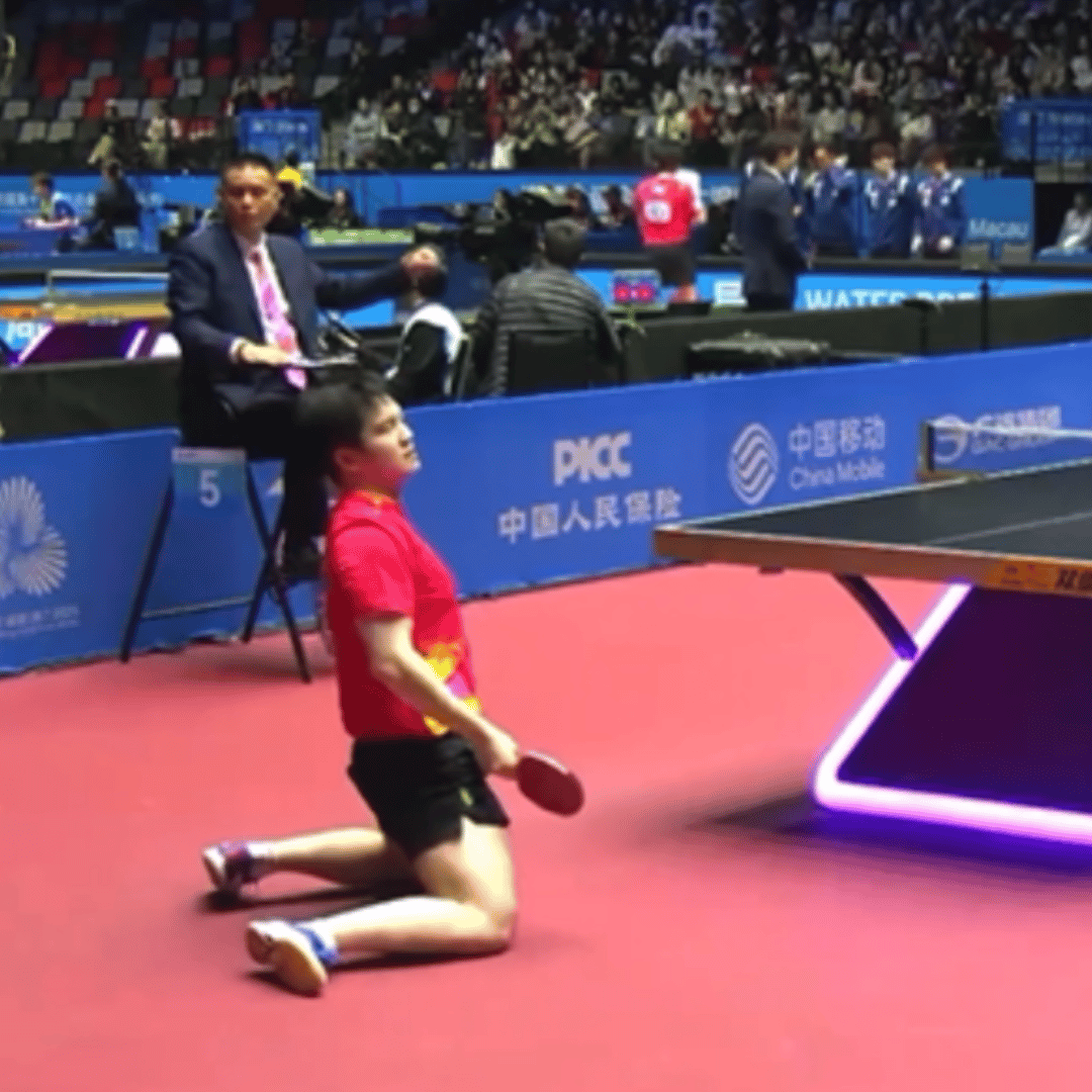 全运会：
樊振东今天秀了了一下他的绝世好腰，
弹跳原地起飞，
有点像倒放，
真是