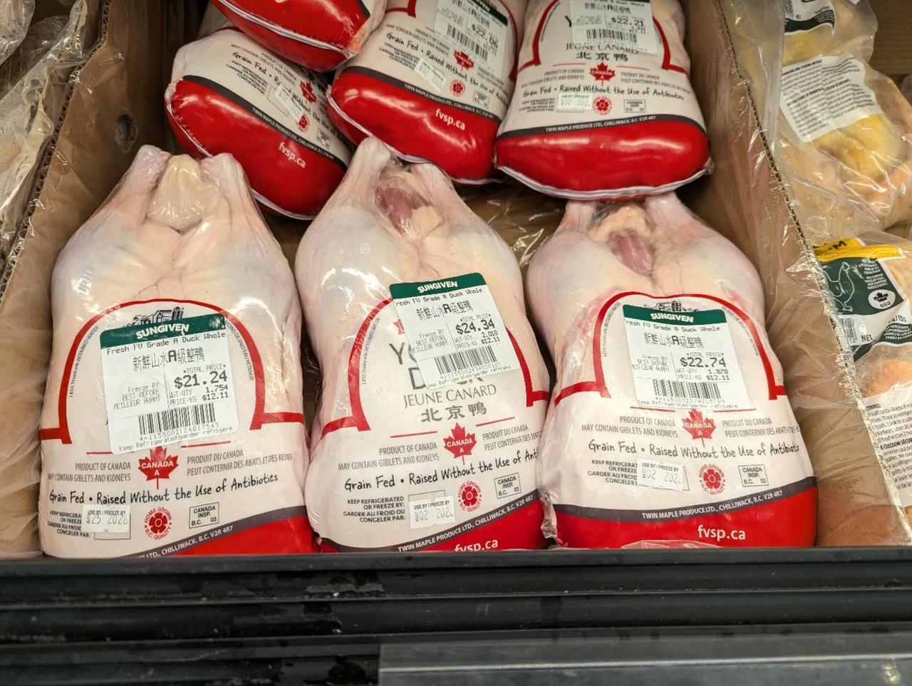 加拿大的鸭子很贵
作为一个南京人，我很喜欢鸭子
南京的鸭子又便宜又美味
可是加拿