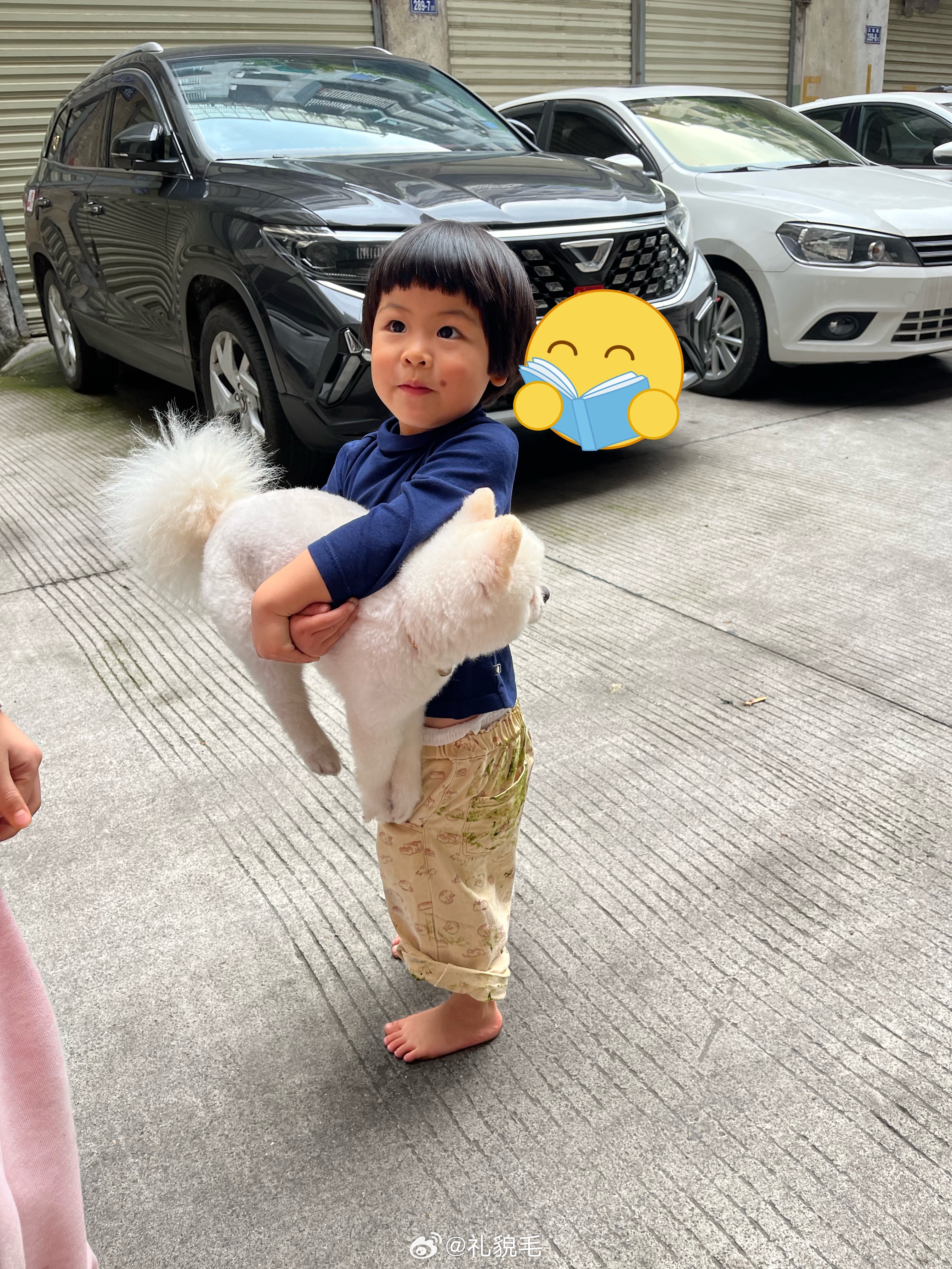 球宝今天又抱小狗了感觉距离她开口跟我要一只狗不远了….带娃随手拍