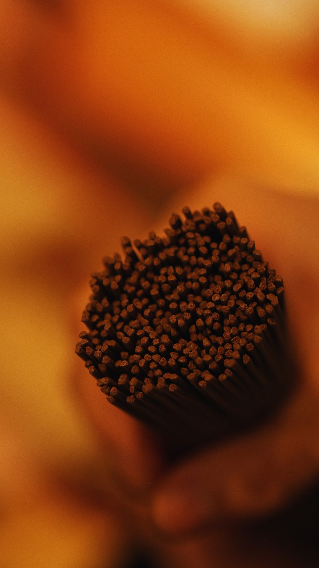 黄棋楠 线香黄奇楠是奇楠种最为少有的品种，初香甚短有浓郁香味，本香甜淡，尾香亦转